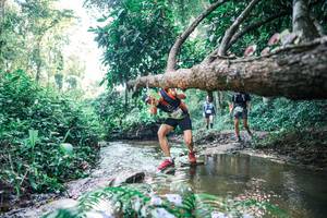 BIB: 
                            <button type="button" onclick="openModal(25434913)" class="btn btn-primary btn-sm float-right btn-popup" data-toggle="modal" data-target=".modal-high-quality">
                        <i class="fas fa-shopping-cart"></i> Add to Cart
                    </button>
                                            <button type="button" onclick="isThisMe(25434913, true)" class="btn btn-success btn-sm float-right btn-popup btn-isme hidden" data-toggle="tooltip" data-placement="bottom" title="นี่คือรูปของคุณใช่ไหม คลิกที่นี่เพื่อเอาเข้าอัลบั้ม">
                        <i class="fas fa-plus"></i> Add to album
                    </button>
                    <button type="button" onclick="isThisMe(25434913, false)" class="btn btn-warning btn-sm float-right btn-popup btn-isnotme hidden">
                        <i class="fas fa-ban"></i> Remove from album
                    </button>